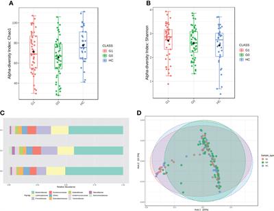 Gut microbiome and metabolic activity in type 1 diabetes: An analysis based on the presence of GADA